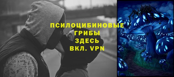 герыч Арсеньев