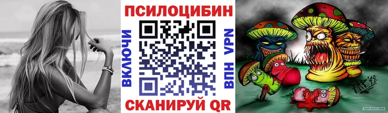 кракен как войти  где продают наркотики  Тихвин  Псилоцибиновые грибы мицелий 